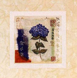 Hydrangea