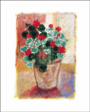 Geranium