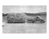 American Hay Farmer