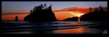 Olympic National Park  Washington state