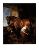 Shoeing