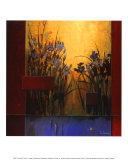 Iris Sunrise