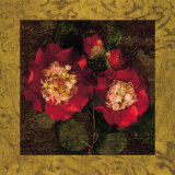 Red Camellias II