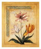 Flores Exoticas y Mapas I