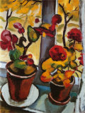 Blumen am Fenster