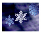 Snowflakes