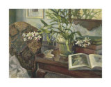 Evie's Orchid