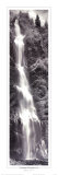 Chasing Waterfalls