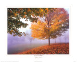 Autumn Mist