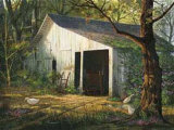 Spring Morning