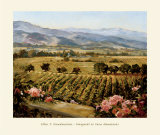 Vineyards to Vaca Mountains