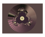 Disc