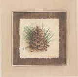 Pomme de Pin II