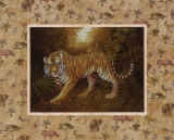 Safari  Tiger