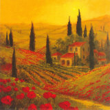 Poppies of Toscano II
