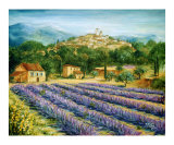 Saint Paul De Vence and Lavender