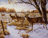 Cautious Crossing