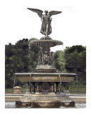 Bethesda Fountain  Central Park  New York
