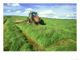 Tractor Cutting Grass Meadow for Silage Farming  UK