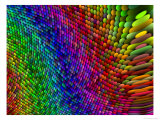 Multi-Coloured Fractal Design