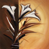 Split Flowers Lilies