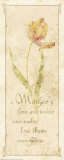 Mother's Day  Mother