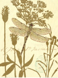 Nature's Curiosities VIII