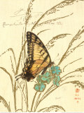 Nature's Curiosities I