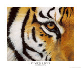 Eye of the Tiger