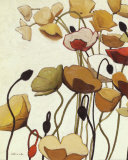 Pavots Ondule