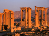 Columns of Ruins at Dawn  Palmyra  Syria