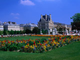 Garden Outside the Louvre Paris  France