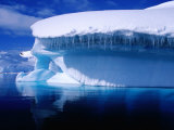 Icebergs in Wilhelmina Bay  Antarctica
