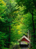 The New Hampshire Covered Bridge 39  Also Known as the Flume Bridge  New Hampshire  USA