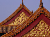 Roof Detail of Beijing's Forbidden City Bejing  China