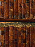 Detail of Rare  Old  Leatherbound Books on Shelf  Oxford  England