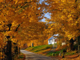 Country Road in Autumn  USA