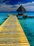 Pontoon and Hut Over the Lagoon  Rangiroa  Taumotus  The  French Polynesia