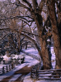 Country Road Leading to Nambe Ranch in Early Winter  New Mexico  USA