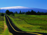 The Saddle Road Connecting East and West Hawaii  with Mauna Loa in the Distance  Hawaii  USA