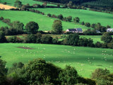 The Fields and Farmhouses of County Cork  Ireland