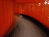 On the Move Through the Tunnel of Tori  Kyoto  Kinki  Japan 