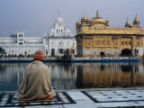 Sikh Man Meditating in Front of the Golden Temple  Amritsar  India