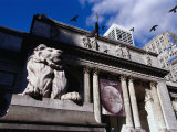 Stone Lions on Fifth Avenue Entrance to the New York Library  New York City  New York  USA