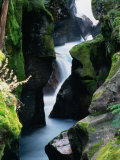 Avalanche Gorge  Glacier National Park  Montana  USA