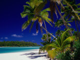 Beach with Palm Trees on Island in Aitutaki Lagoon Aitutaki Southern Group  Cook Islands