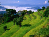 Annapurna South in the Annapurna Sanctuary  Gandaki  Nepal