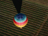 Hot Air Balloon Flying Over Vineyards  Napa Valley  USA