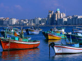 Harbour View with Fishing Boats  Alexandria  Egypt