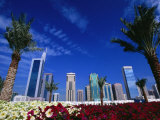 Skyline with Flowers in Foreground  Shiek Zayed Rd  Dubai  United Arab Emirates